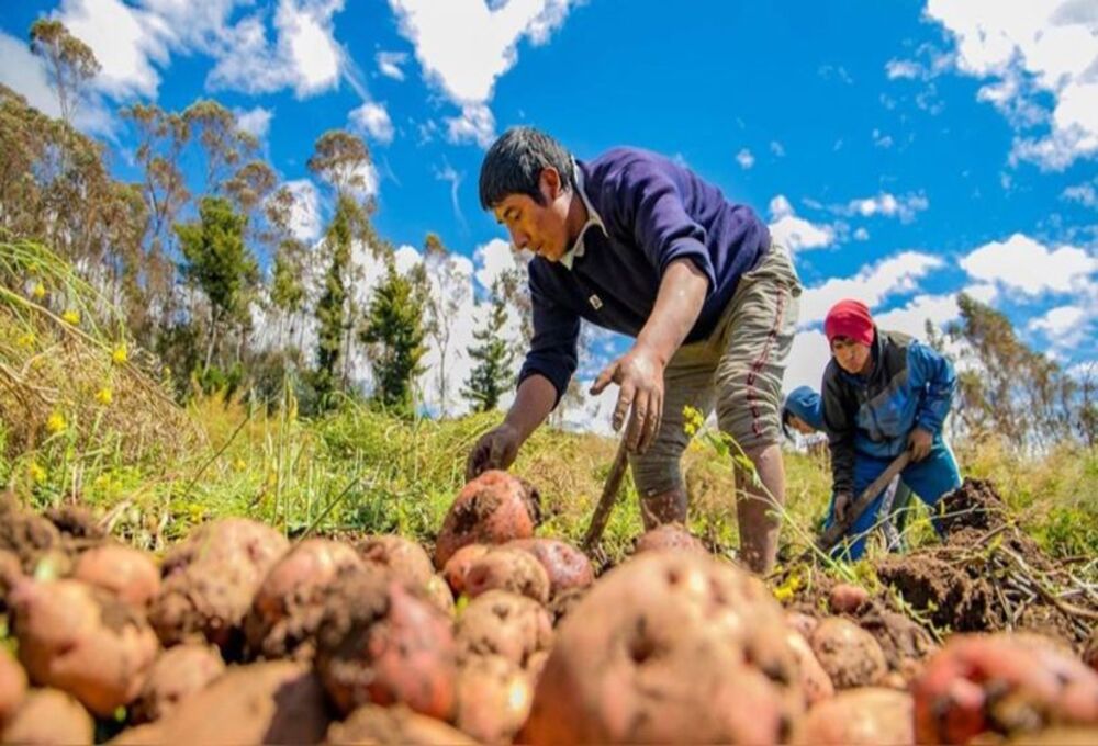 regimen tributario para cooperativas agrarias